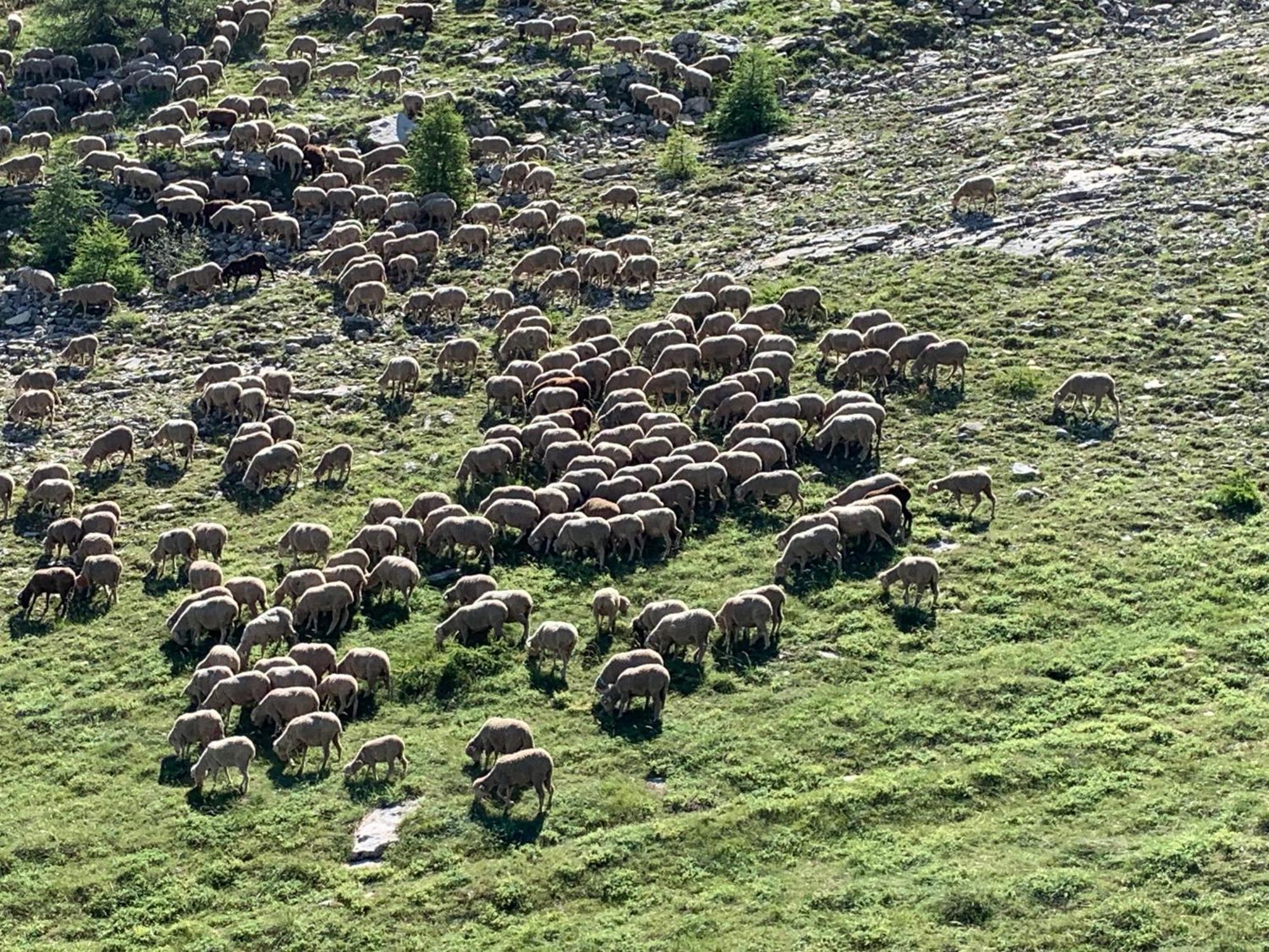 Le Flocon D'Aurouze 522, Appartement 4 Personnes, La Joue Du Loup Kültér fotó